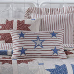 SALE: Celebration Star Applique Pillow (14x22)